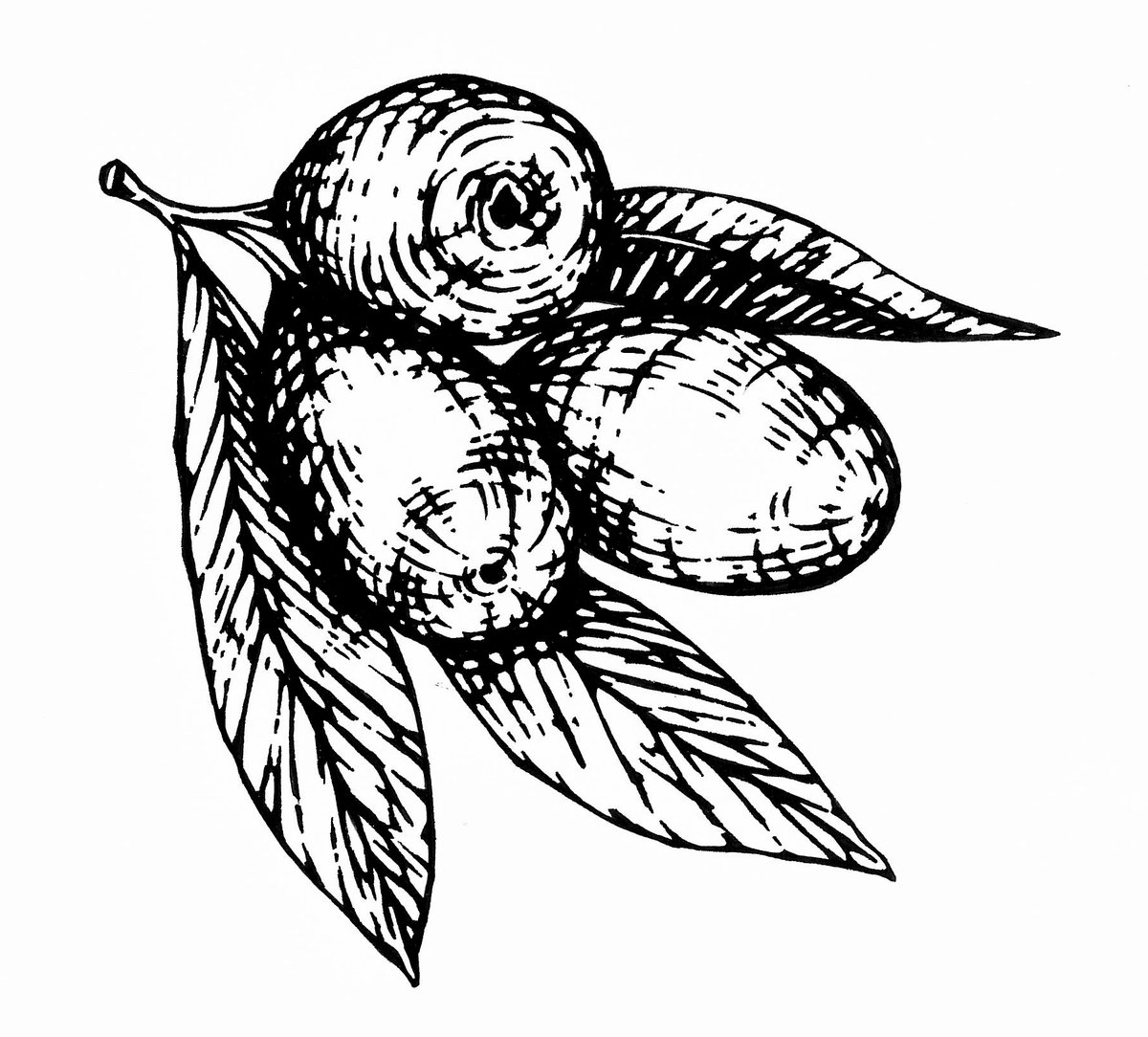 DeliFarm Charcuterie tweet media