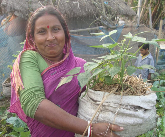 csrboxorg's tweet image. 1. 300 Target farmers have enhanced income by undertaking sustainable agri based Entrepreneurship Models of Pulse Value Chain
2. 30 Pulse Farmer Producer Groups formed
3. FPOs linked directly to market through Farmer Producer Company
csrbox.org/India-CSR-proj…
#ProposedProject (2/2)