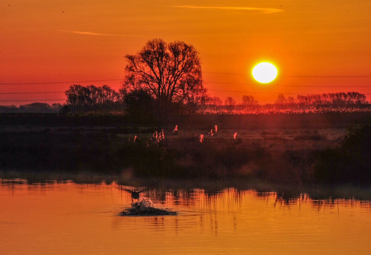 I wish to share to keep the calmness and warmth in our hearts ♥️ This morning in Ely.
Sunrises & Sunsets are my favourites 🥰
#My1outing #sharingwithyou #nature #sunrise #theFens #PhysicalDistancing #naturemeditation @StormHour @metoffice @itvanglia @SpottedInEly #loveUKweather