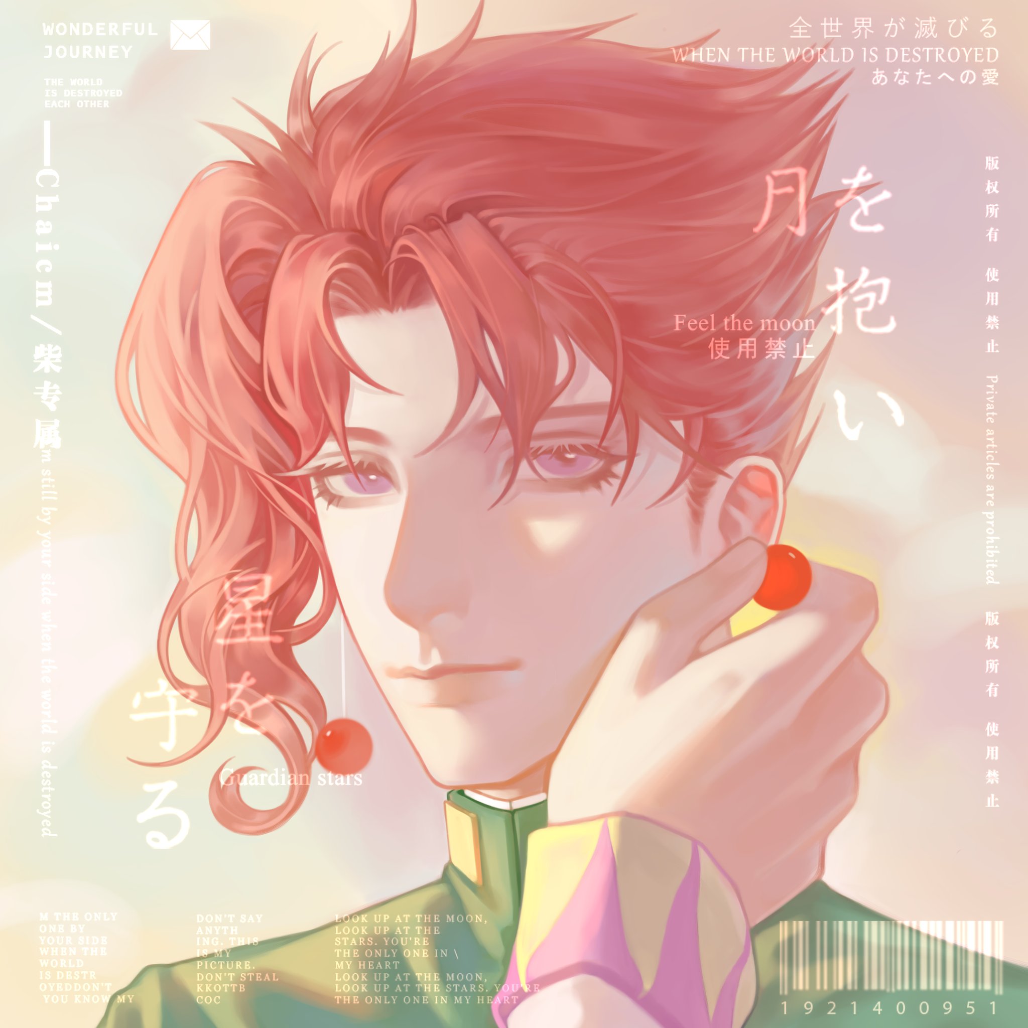 Chaicm 请勿使用 Jojosbizarreadventure ジョジョの奇妙な冒険 空条承太郎 花京院典明 Jotarokujo Kakyoinnoriaki T Co Kzgdkpwbu3 Twitter