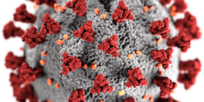 ServisoftLev's tweet photo. Aplazamientos, ayudas, bonificaciones; El plan de medidas económicas para paliar las consecuencias de la crisis generada por el #coronavirus. Todo lo que te interesa saber ⬇️

https://t.co/7YuYgKN0XM https://t.co/XLafoPXj6F