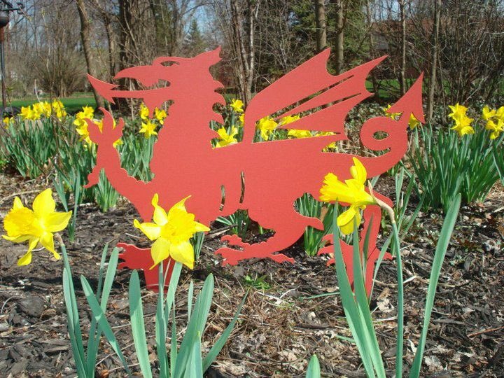 ChicagoTafia's tweet photo. The Brexit mob say โyou are not Welshโ granted we are in Chicago, but we are from Aberaeron, Neath, Swansea, Conwy, Aberystwyth, Machynlleth, Llanelli, Cardiff. #WelshAmericans #brexit #stillEuropean https://t.co/gNe3gBV0ch