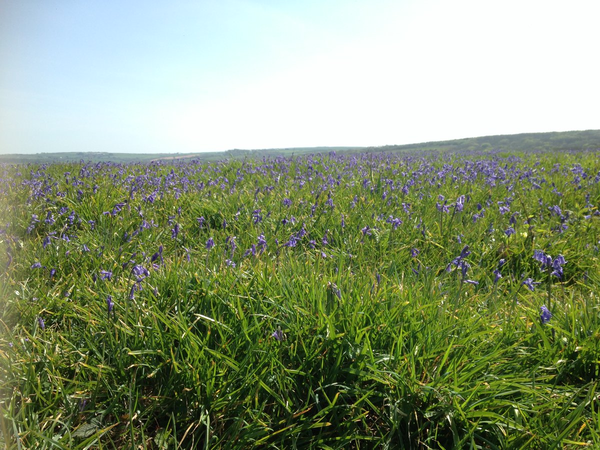 We’ve closed our parks and gardens to restrict the spread of coronavirus, as well as, built properties. Many of our car parks for countryside and coastal locations are now likely to be closed. We urgently request people to stay local, observe social distancing and to not travel.