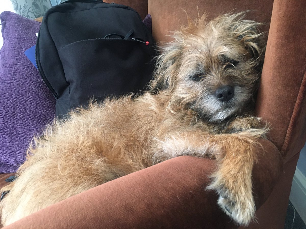 TedtheBorder13's tweet photo. How we all doing today ? I’m keeping calm and carrying on.... https://t.co/g2jKn9Need