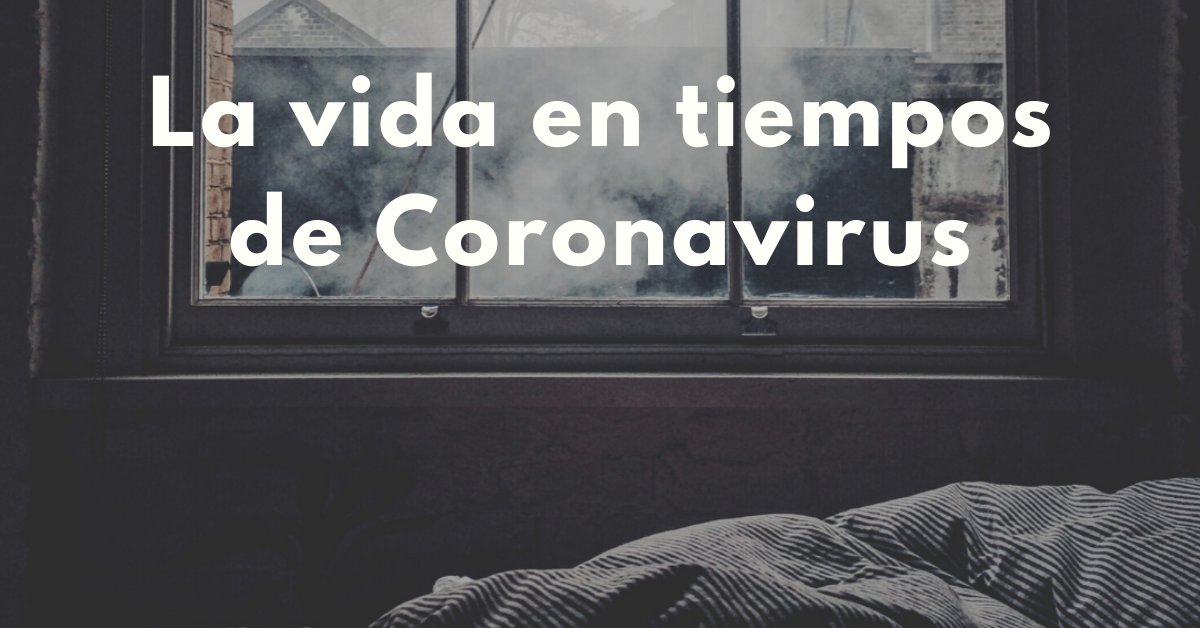 Daniel Ramos Autó tweet media