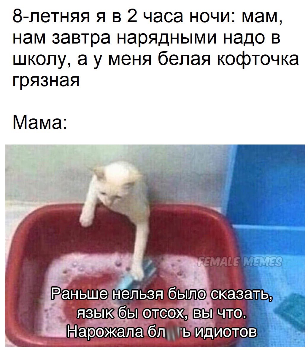 yablonin's tweet photo. https://t.co/xFengl8YPr