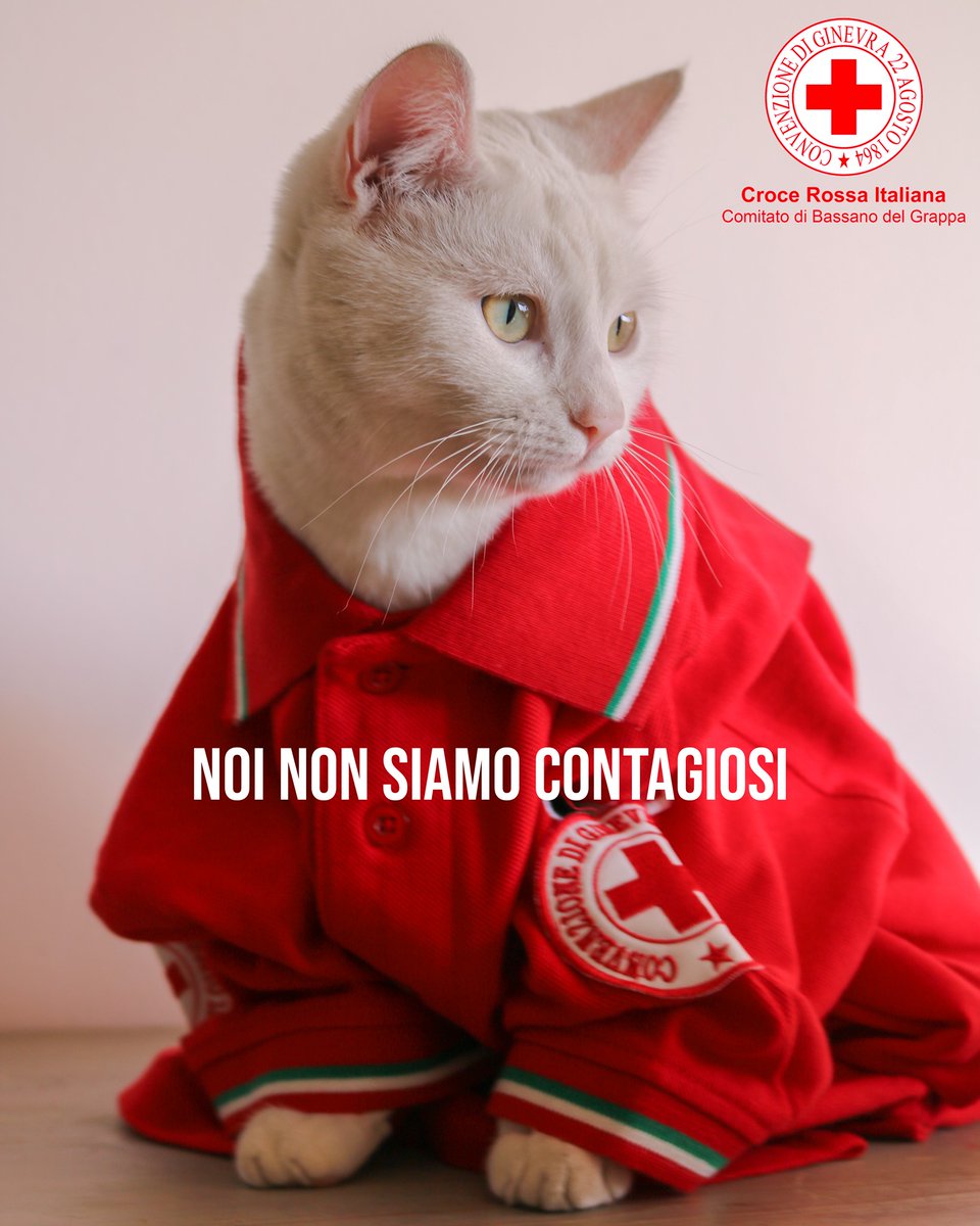 Clinica Veterinaria Gran Sasso (@clinicacvgs) on Twitter photo 
