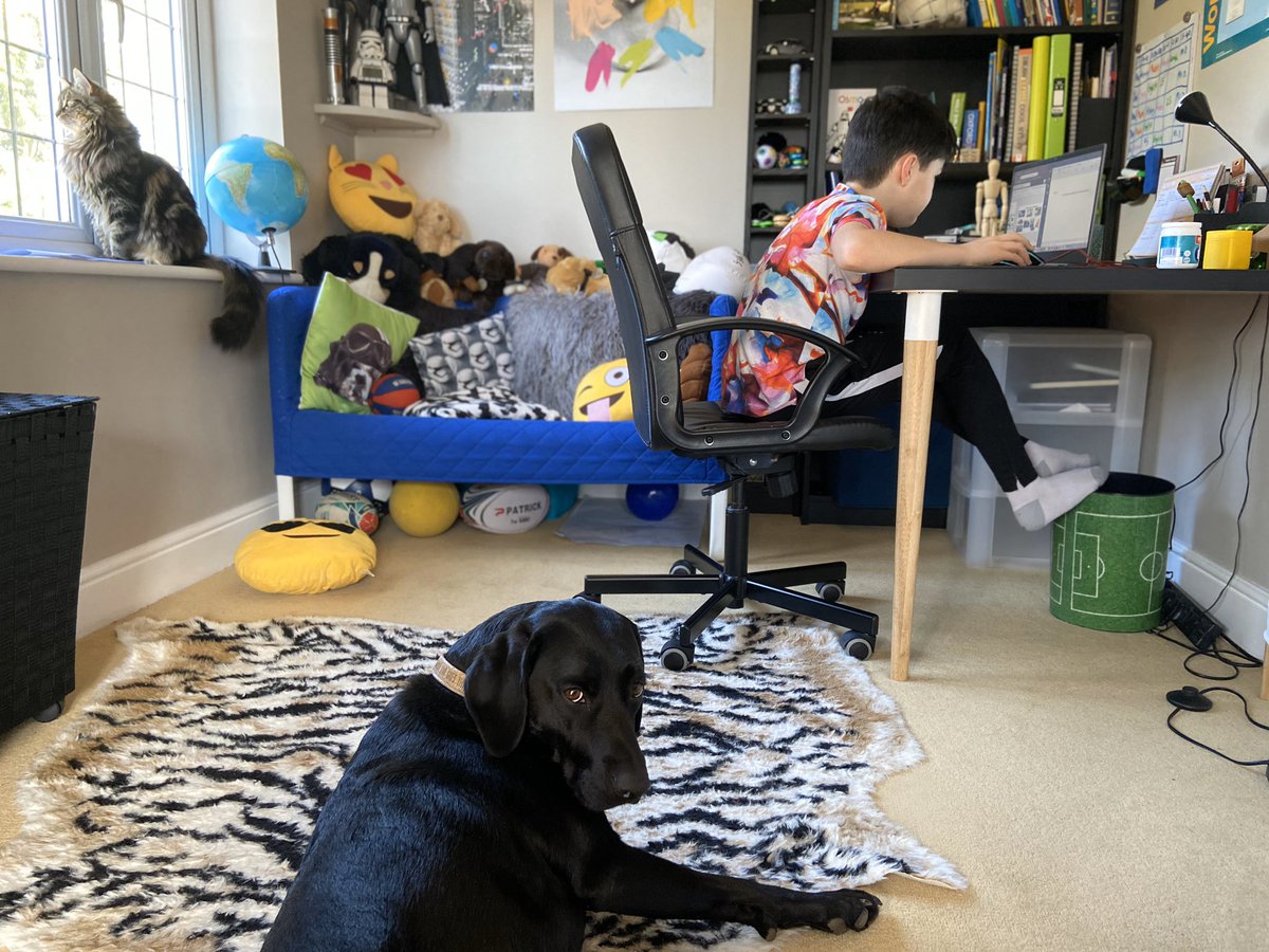 Home schooling with Aldro via Microsoft Teams. Well done everyone at Aldro for making it happen. 👍🏻👏📚💻🏑⚽️ <a href="/AldroSchool/">Aldro</a> <a href="/AldroSport/">Aldro Sport</a>