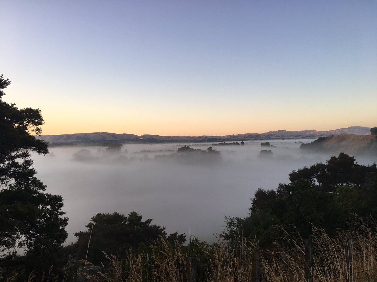 James Watts tweet media