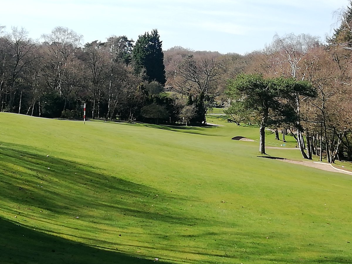 Puttenham Golf Club tweet media