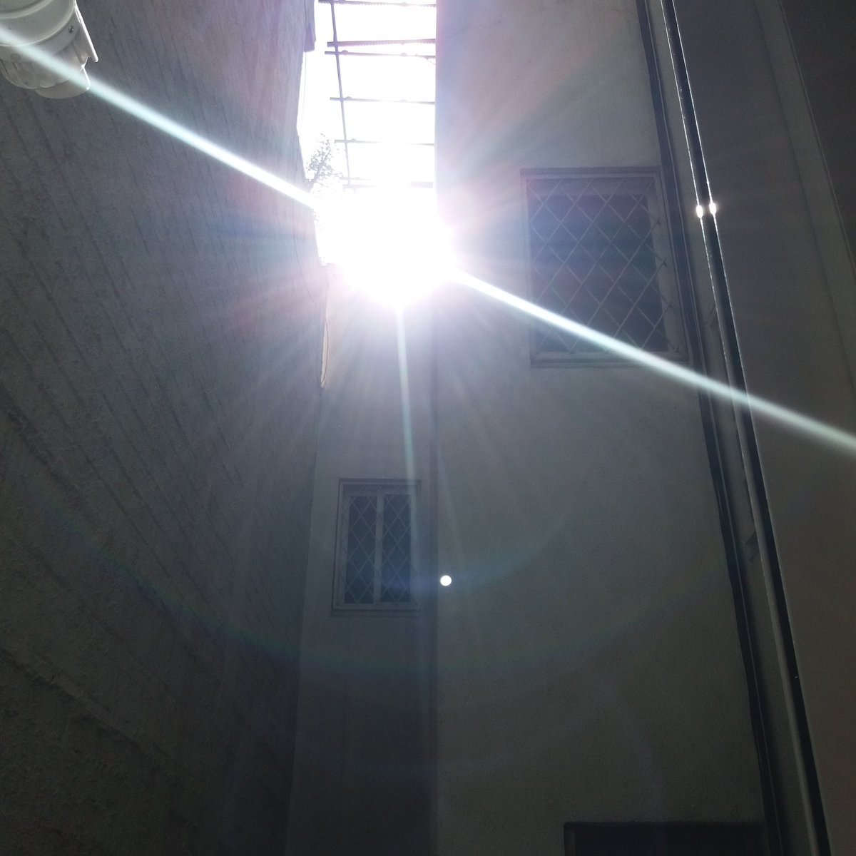 evacuestac's tweet photo. Walaaaaa es veu que al finals de març cap a quarts d'11 del matí entra el sol pel safareig de casa!!!! 30 anys vivint aquí i no ho havia vist!!!! #agraida #cosesdelconfinament https://t.co/82kelNI52T