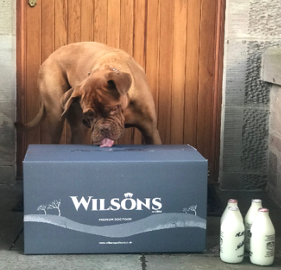 We wish to assure customers that production of our pet food is unaffected by the current lockdown, our team has “key worker” status and we will continue to produce Cold Pressed and Raw Frozen dog food.
Please see our website wilsonspetfood.co.uk for our full update.
