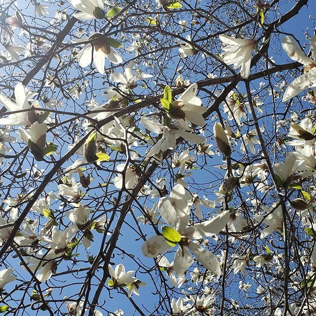 犬山国際ユースホステル Inuyama International Youth Hostel Inuyamayouth Twitter 犬山国際ユースホステル Inuyama International Youth Hostel Inuyamayouth Twitter