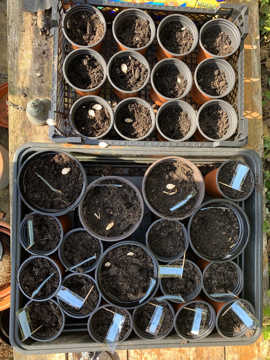 Kim Muddimer tweet media