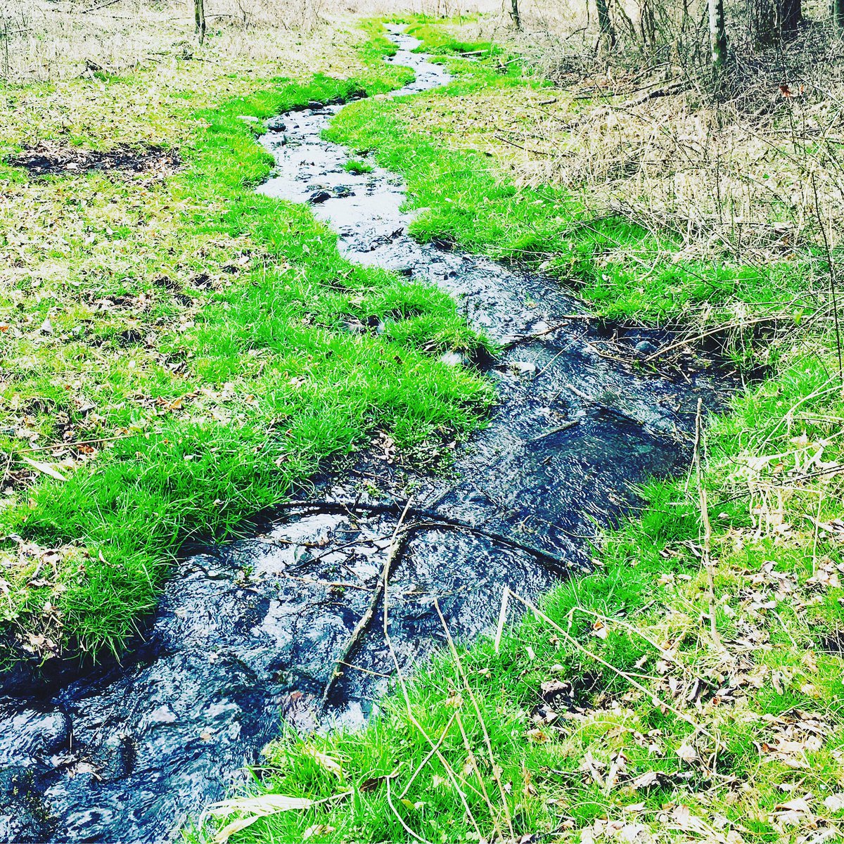 明日から新作のための、今年3度目のTRIOLA録音。せっせと新曲書いています。2人で練り出した録音方法も板についてきたこの頃。せっせとせっせと。。<a href="/ah_____ha/">Atsuko Hatano</a>
