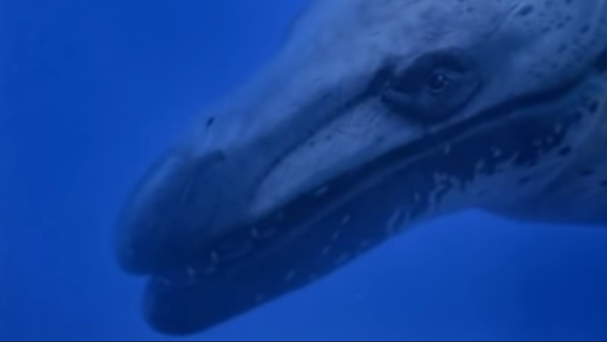 It is surprising (actually not) that compared to T. rex, there is zero comment war about the lips of ancient whales like Basilosaurus, despite the fact that unlike tyrannosaurs, they have modern relatives to show us a variety.