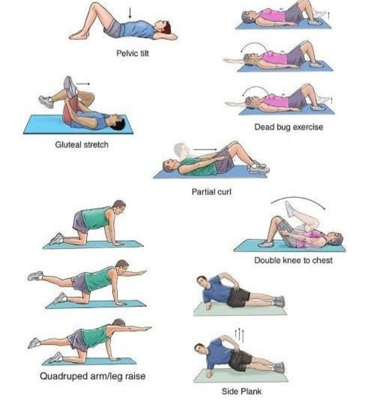 FizyoPlatforum's tweet photo. Halk arasında dar kanal olarak bilinen spinal stenoz,omurganın daraldığı ve omuriliği sıkıştırmaya başladığı bir durumdur.En sık nedeni osteoartrittir.Yazımızın tamamı için🆕️➡️https://t.co/OysCKkquyC
#stenoz #fizikterapi #darkanal #spinalstenosis #anatomy #Neurology #fzt #ftr https://t.co/01pzebiu2w