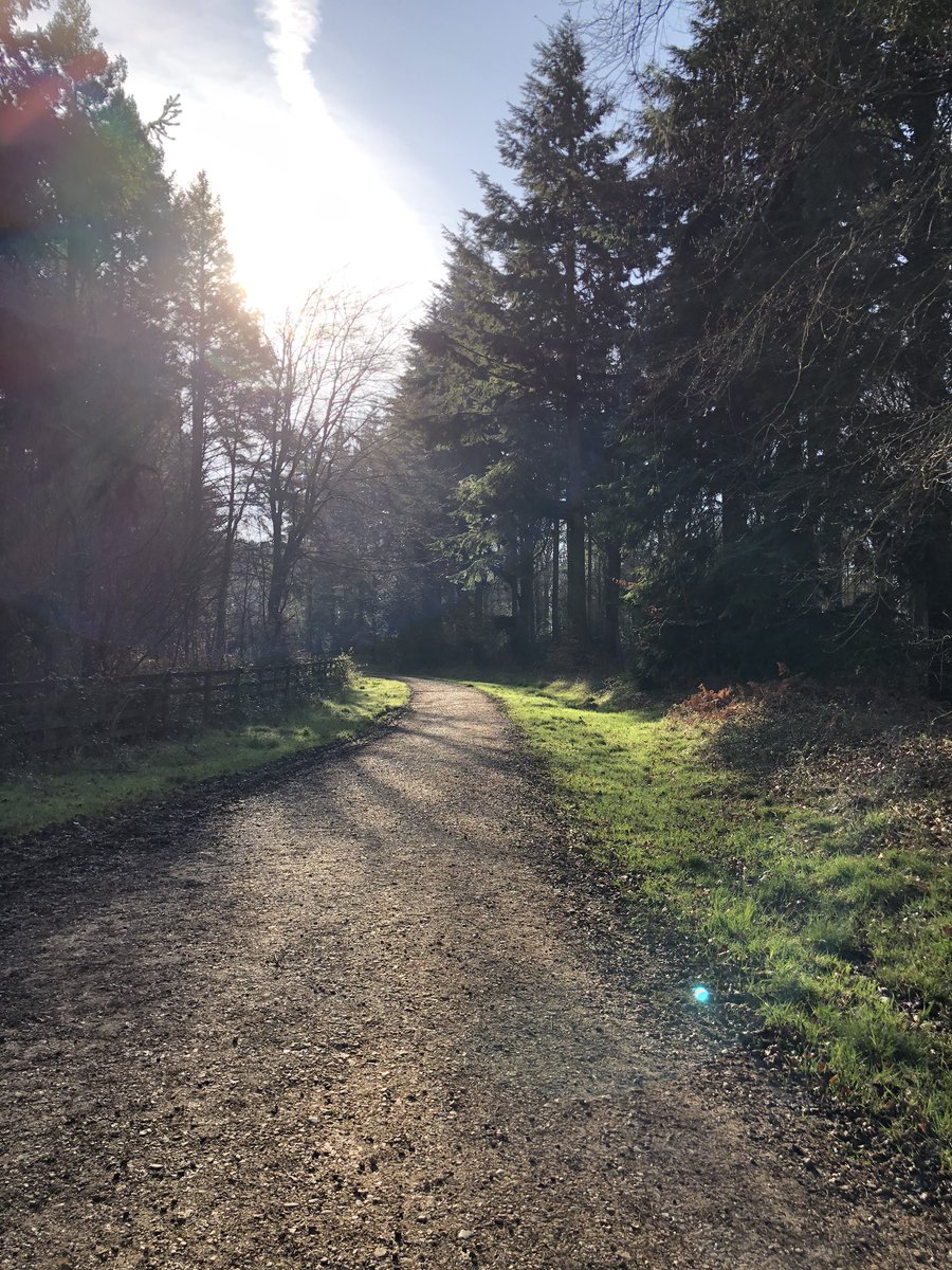 paperclipgirl's tweet image. Early run, day 1. People seen: 1. #lockdownrun