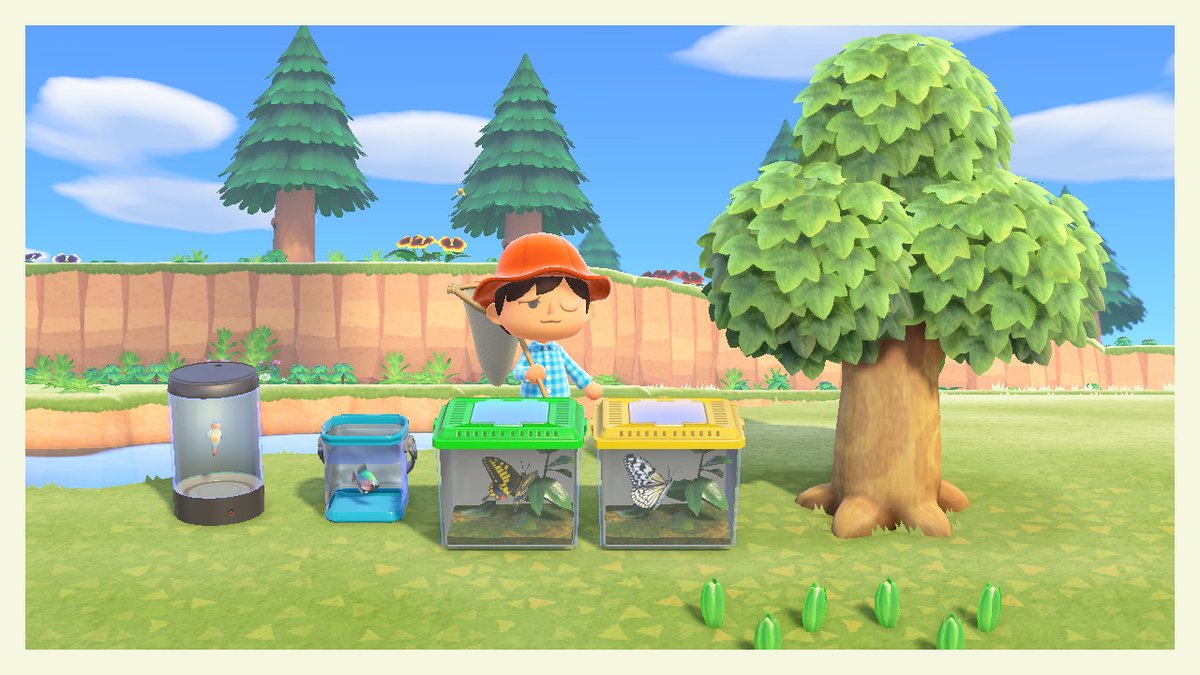 2nd day in the deserted island: Stung by wasp, caught some butterflies and fishes #AnimalCrossing #ACNH #NintendoSwitch