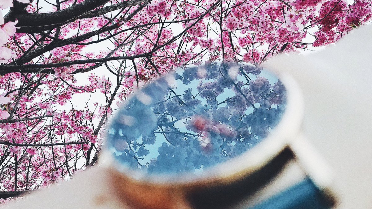 宵月 絃 一瞬で散ってしまう桜を 時計の中に閉じ込めて持って帰ってしまいたい気持ちだった