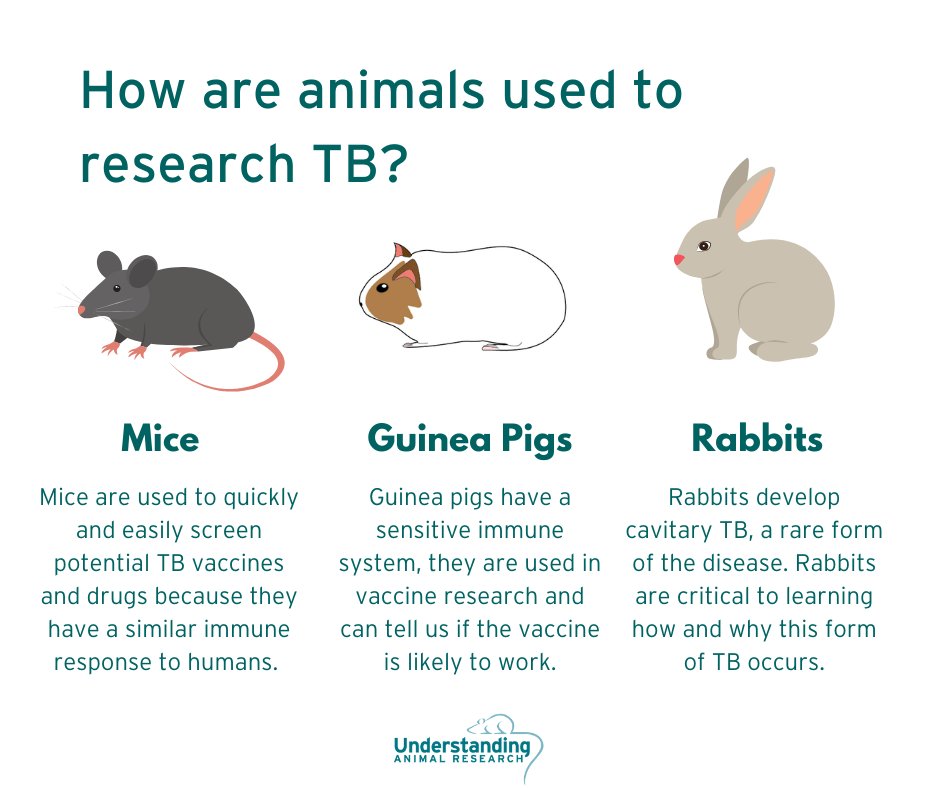Understanding Animal Research on Twitter: Understanding Animal Research on Twitter: