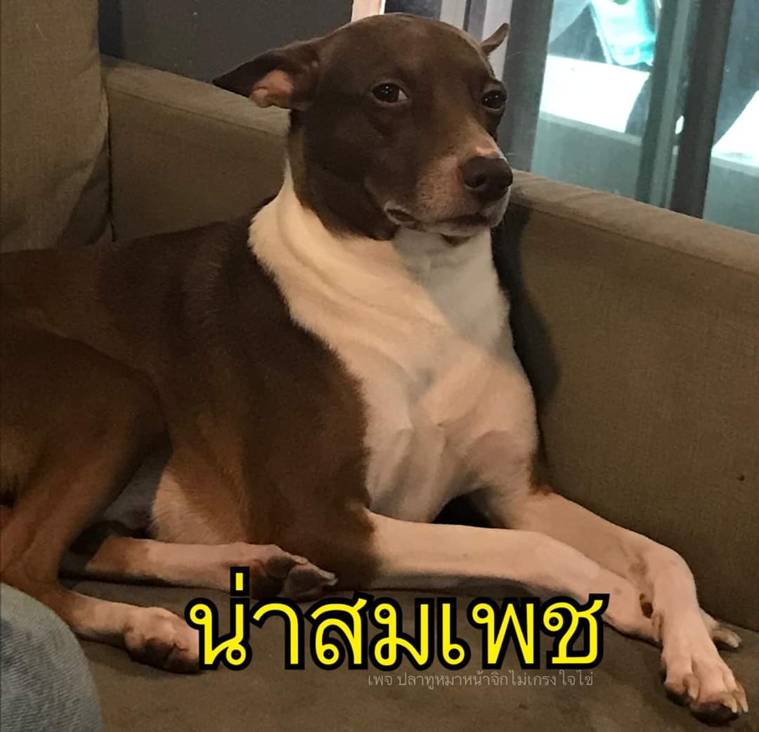 𝚓𝚊𝚢𝚜 tweet media