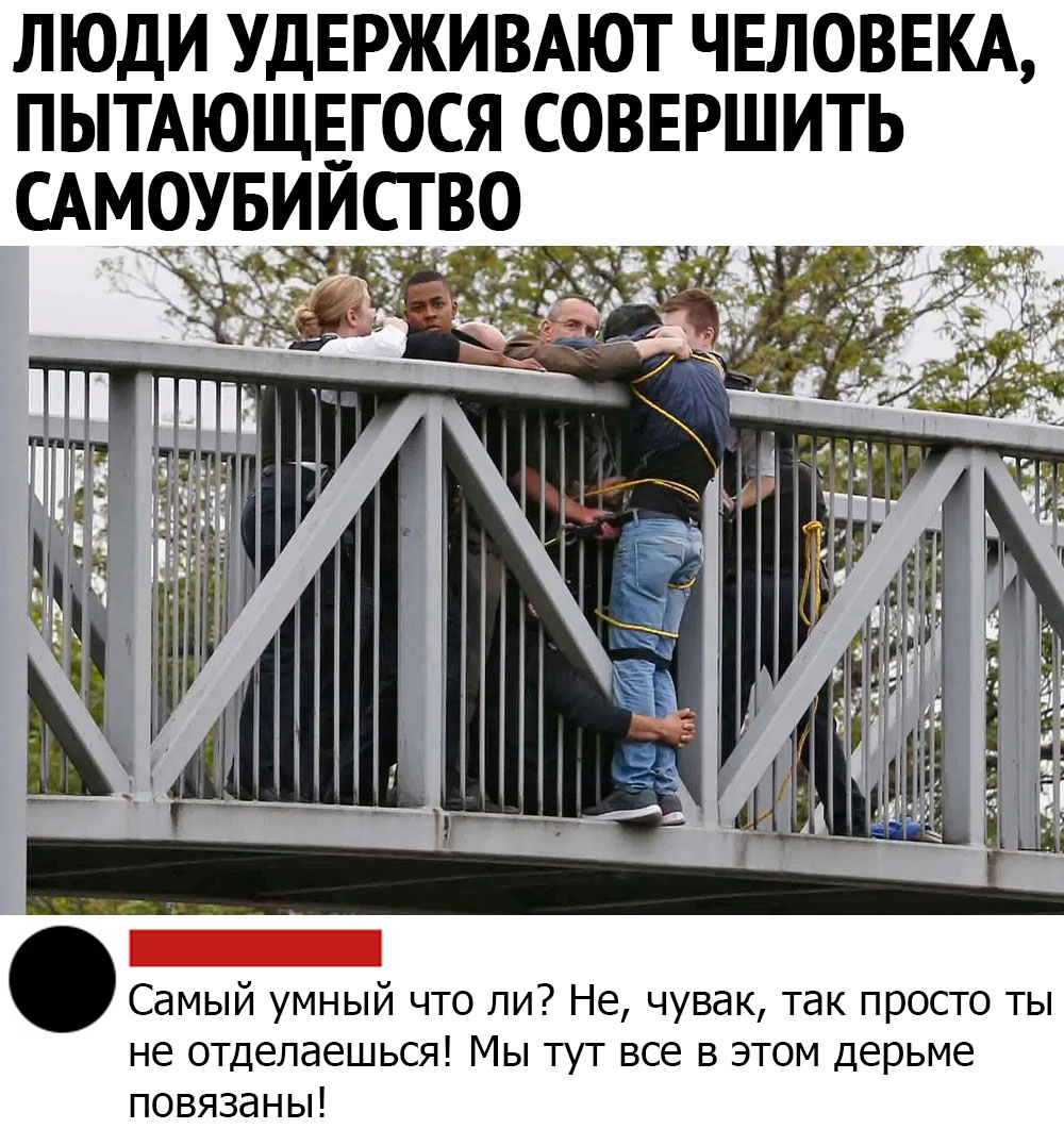 Сарказм (@tw_dobrota) on Twitter photo 