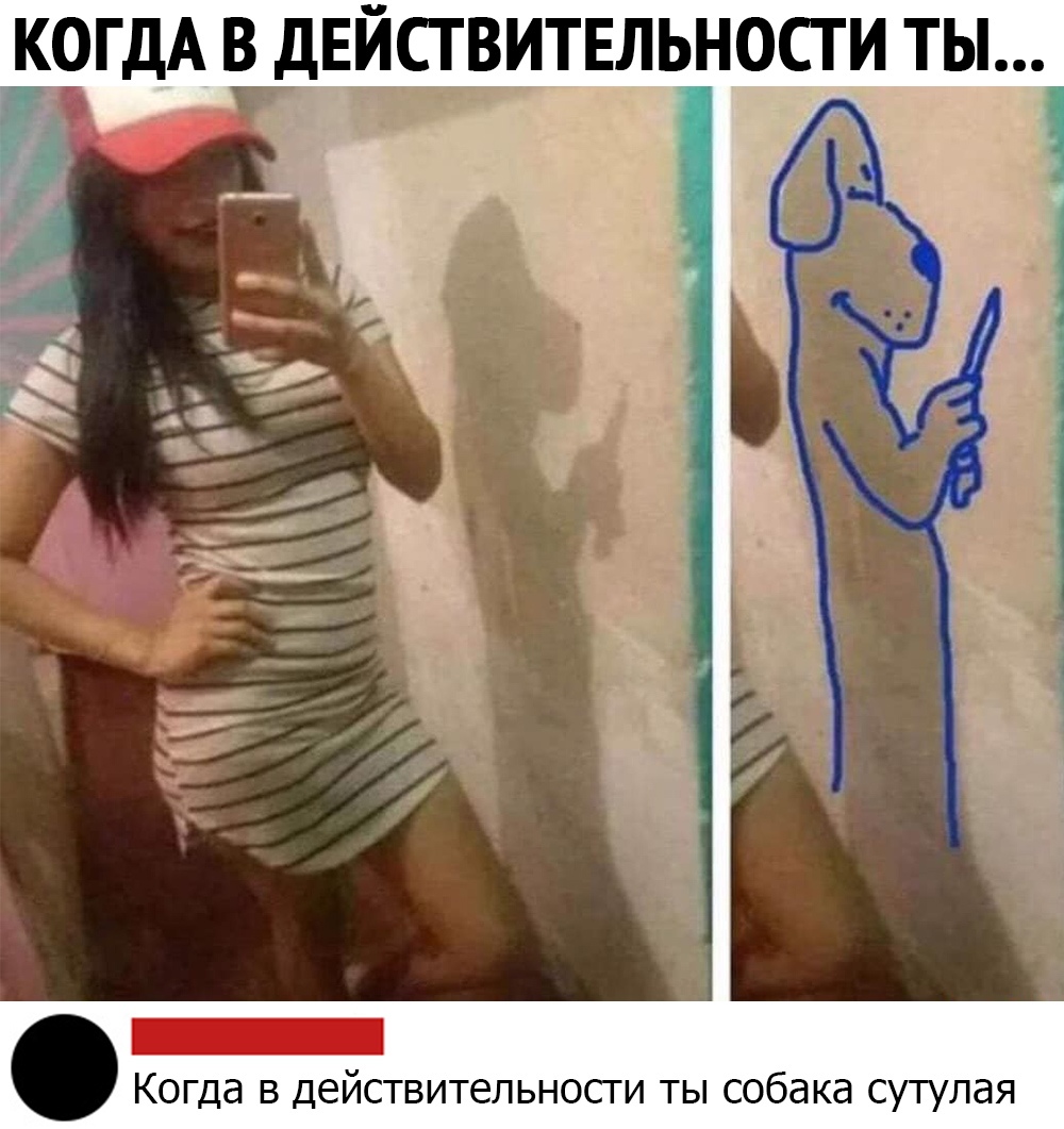 Сарказм (@tw_dobrota) on Twitter photo 
