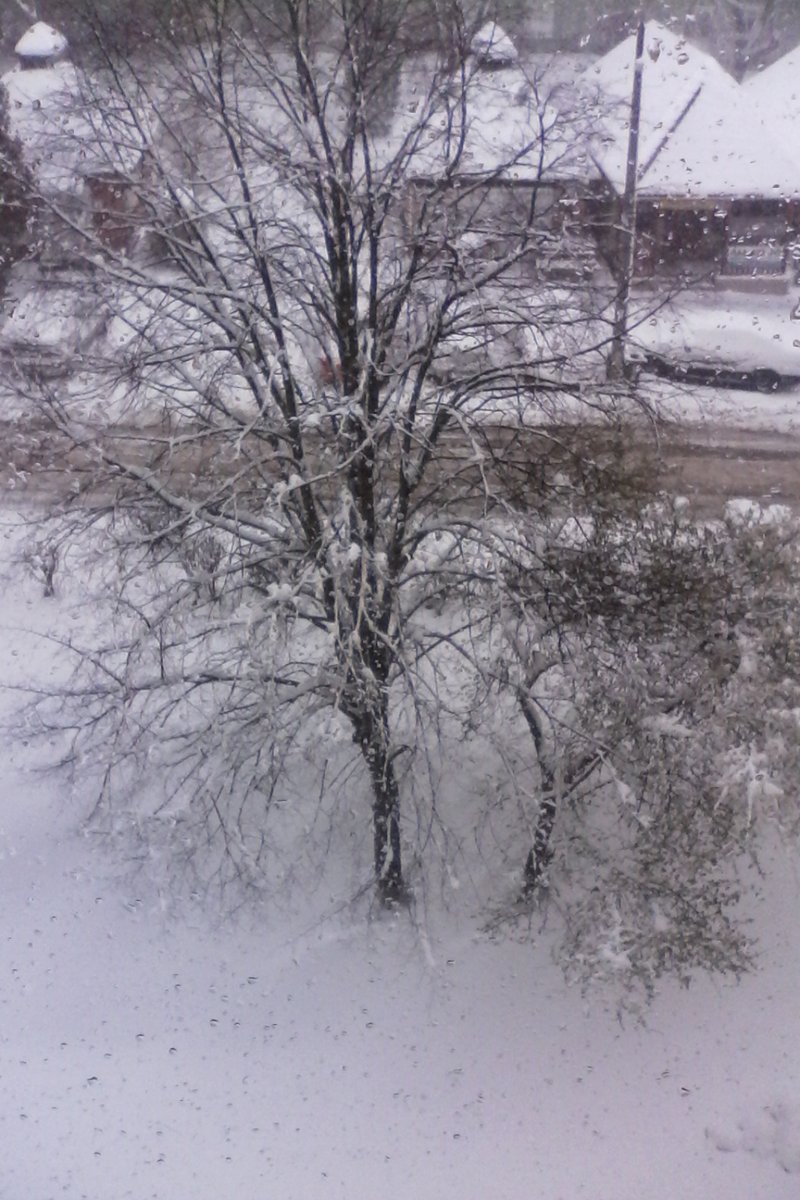 Büki Katalin tweet media