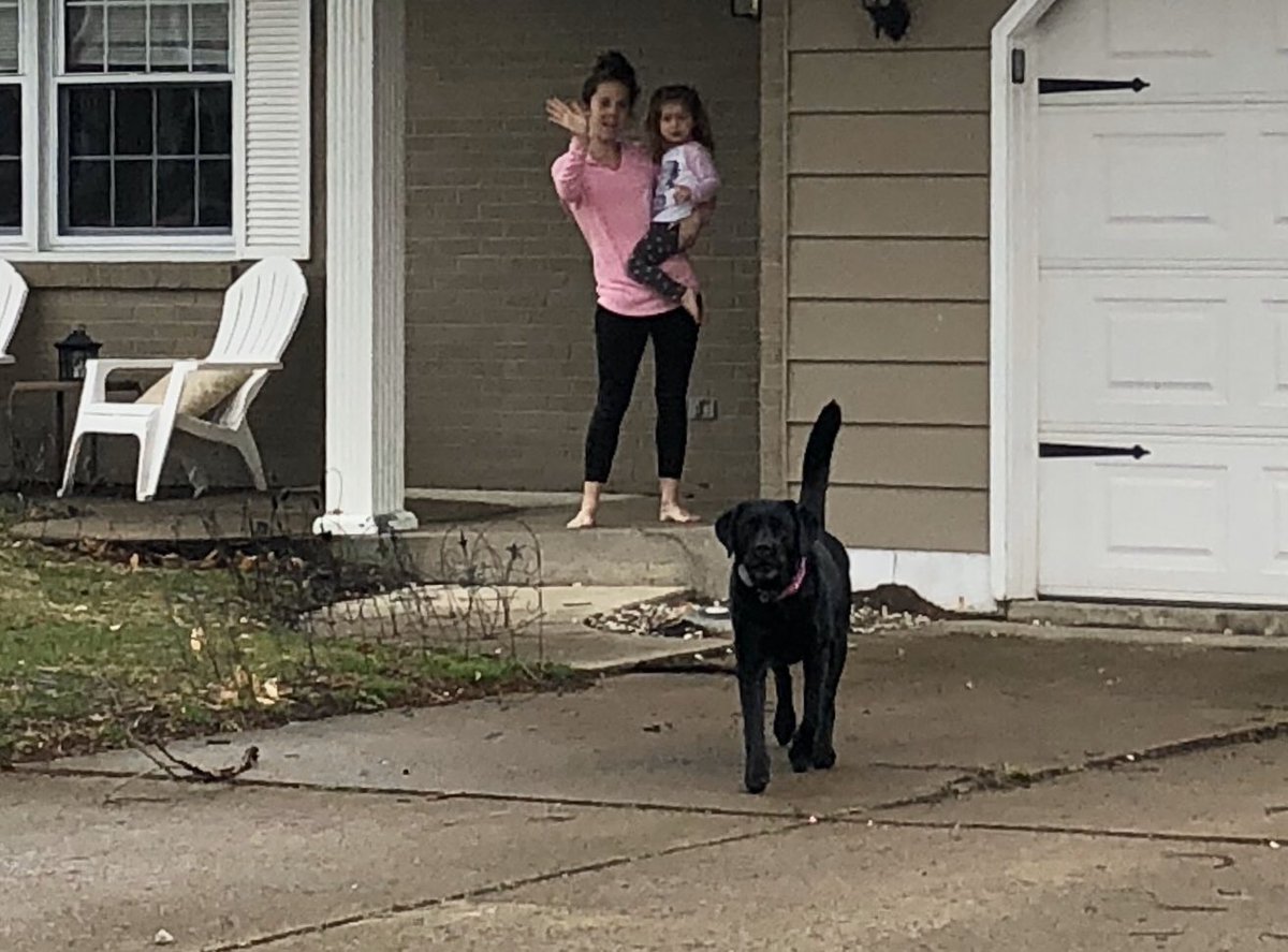 Huron City School teachers parade though town to let our students know, WE MISS THEM! ❤️🐯#huronproud #huronunite <a href="/huronschools/">Huron City Schools</a> <a href="/HuronOhio/">City of Huron News!</a> <a href="/huronsuper/">Dennis Muratori</a> @PrincipalLamb <a href="/JBerckemeyer/">Jack Berckemeyer</a> @HuronOhChamber