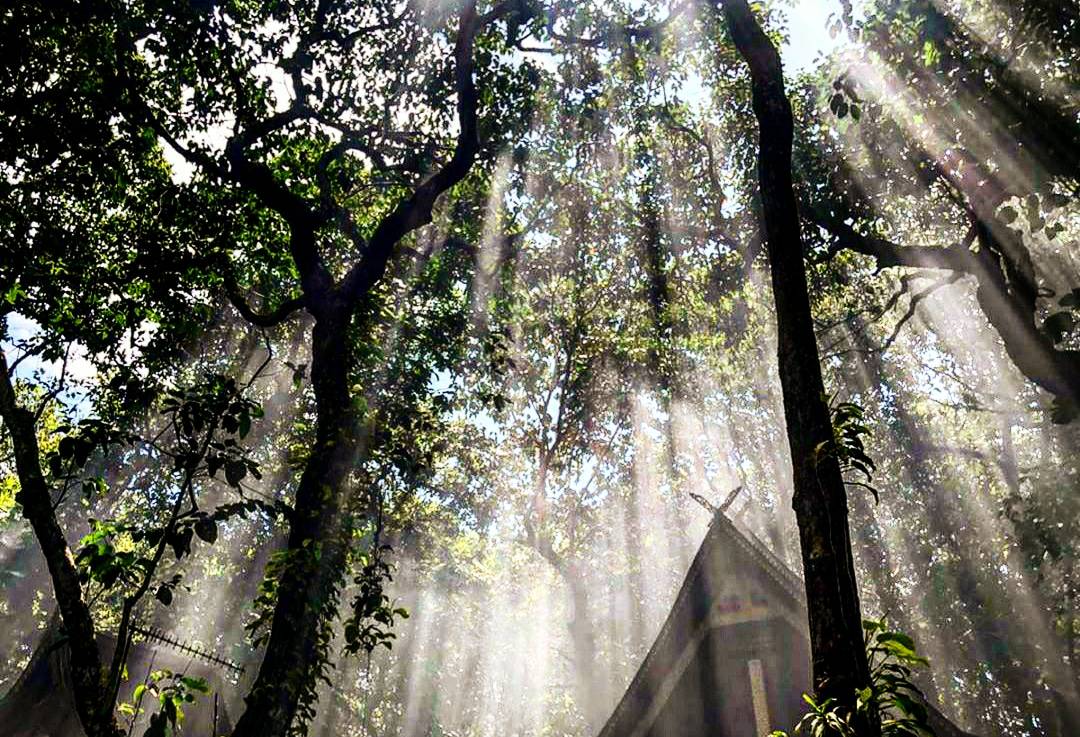 FPphayam's tweet photo. Solar rays in the jungle
@flowerpowervillage
#flowerpowervillage #flowerpowerguesthouse #aowkhaokwai #buffalobay #kohphayam #ranong #thailand #thai #kohlife #paradise #thaiisland #andaman #hashtag1 #solarrays #jungle https://t.co/wWhOaDCuk5