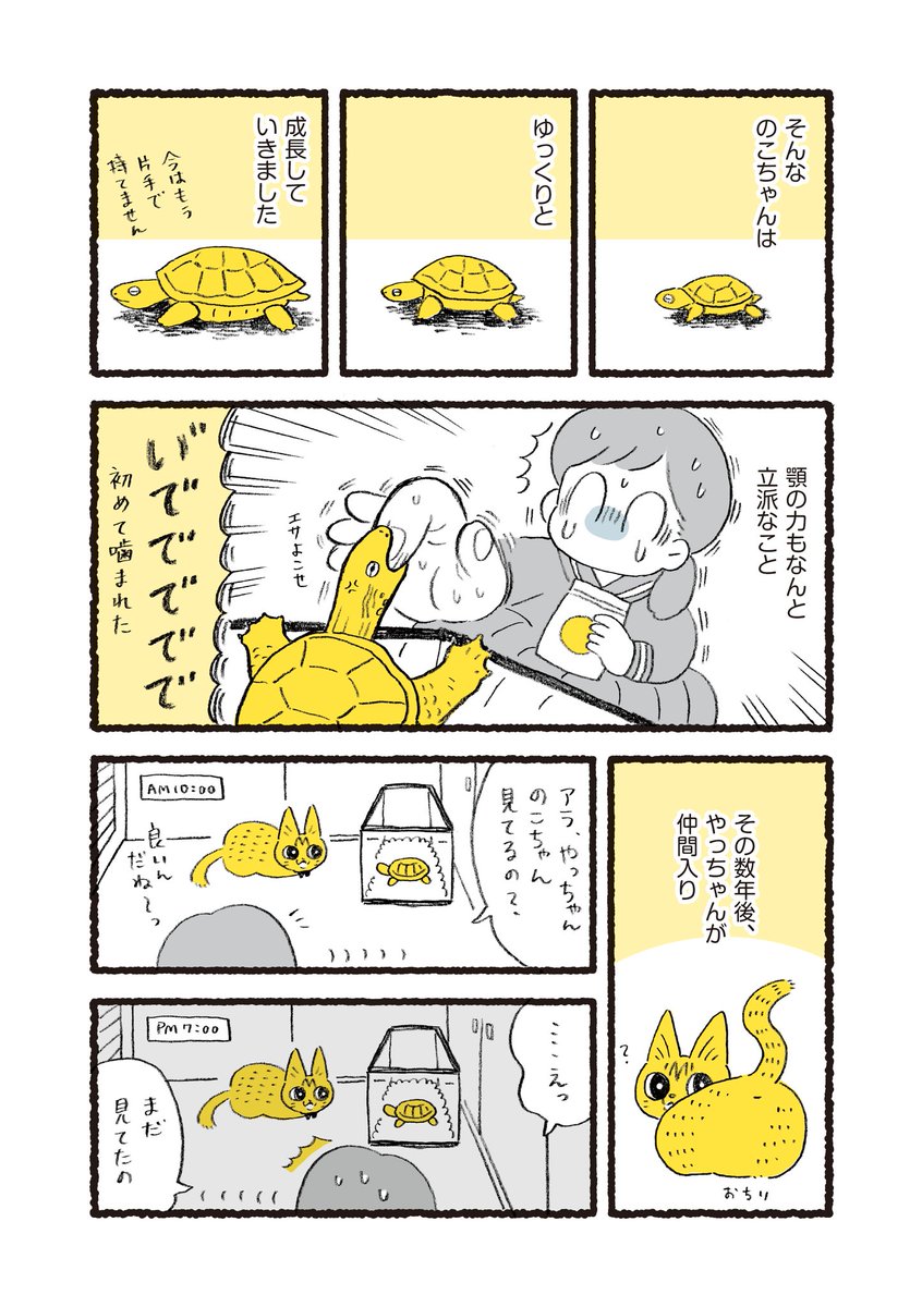 やっちゃんとのこちゃん? 