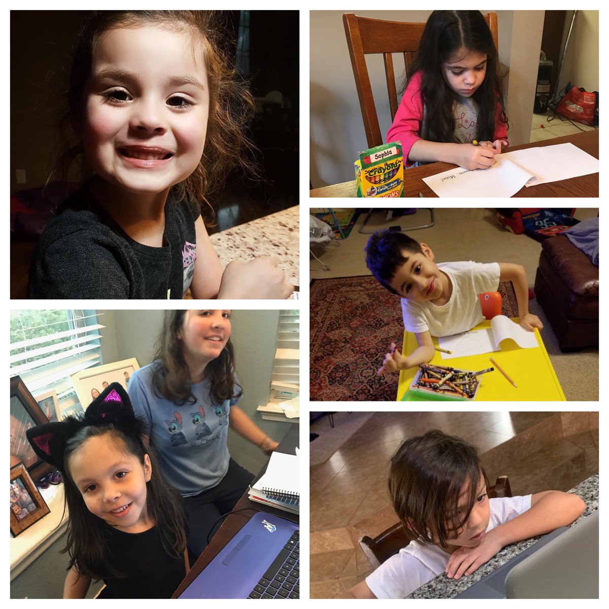 cindy craven (@cindycraven) on Twitter photo My kinder friends working hard on day 1 of distance learning. ❤️ I miss their smiles! <a href="/NISDCarson/">Carson Elementary</a> #carsonlegends My kinder friends working hard on day 1 of distance learning. ❤️ I miss their smiles! <a href="/NISDCarson/">Carson Elementary</a> #carsonlegends