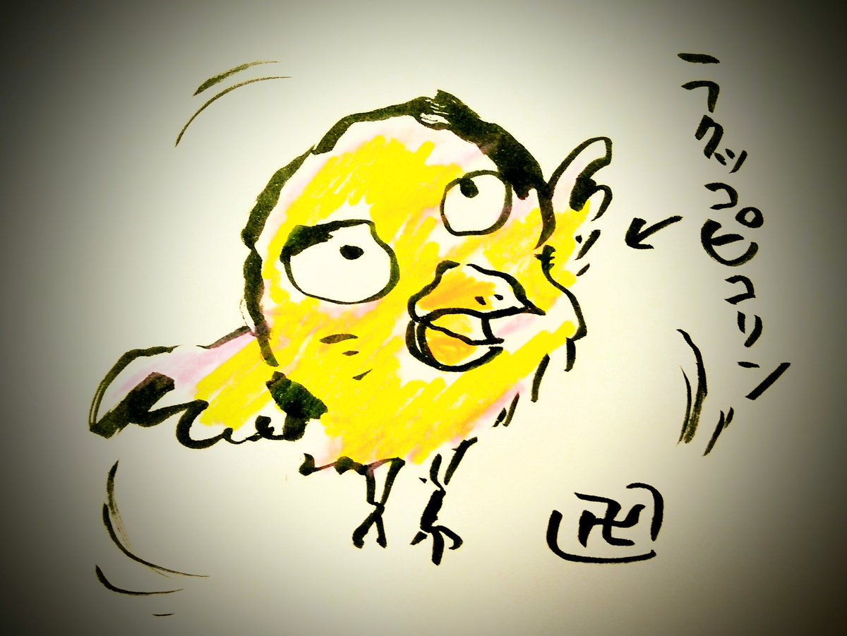 ラクチュZリーフレット