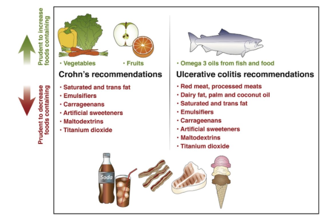Looking for an update on dietary guidelines for IBD? The International Organization of IBD has published consensus guidelines regarding specific dietary components, food groups and food additives that may be prudent to increase or decrease in IBD ow.ly/4j5i30qrNpM