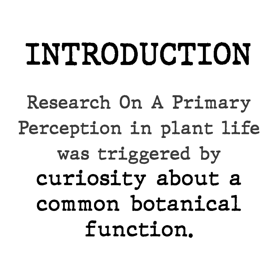 PlantChoir's tweet photo. #TBT #ThrowbackThursday 
From Polygraph to Plants! Cleve Backster's research on Primary Plant Perception.
‘Evidence of a Primary Perception In Plant Life’, by Cleve Backster, reprinted from the International Journal of Parapsychology, Winter 1968 #plantmusic #clevebackster https://t.co/v2OEPIBJsk