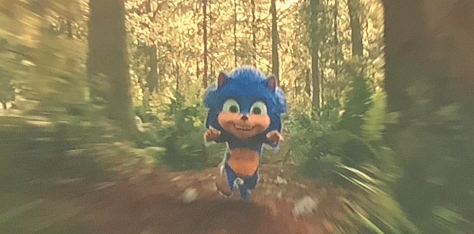 RT @SUPERZOMGBBQ: Deleted scene from Sonic the Hedgehog movie.

But it’s the “human” design Sonic as a baby. https://t.co/bsSTppDtJl