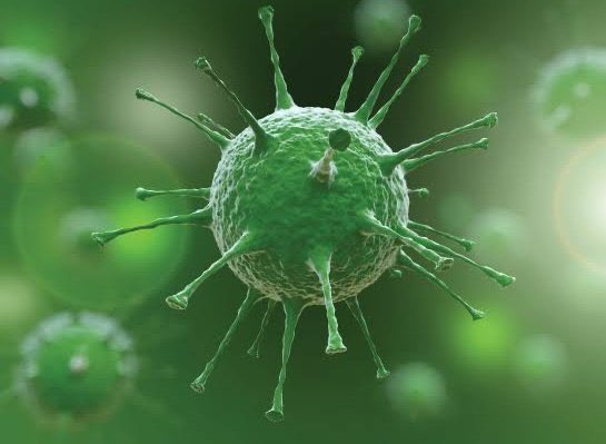 Çin’de “Hanta Virüs” isminde yeni bir bulaşıcı virüs çıktı! 
Çin’in Yunnan eyaletinde bir kişinin otobüs seyahati sırasında hanta virüs yüzünden öldüğü öğrenildi. Otobüsteki 38 kişi karantinaya alındı. Virüs, fare ve sincap gibi kemirgenleri yemekten insana geçiyor.