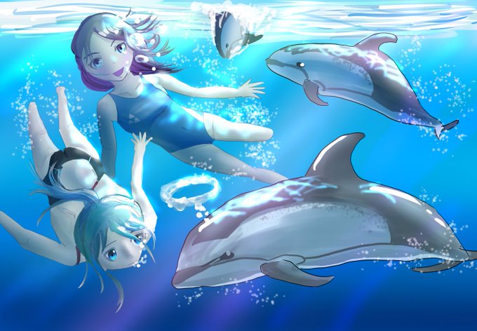 イルカのイラストのtwitterイラスト検索結果 イルカのイラストのtwitterイラスト検索結果