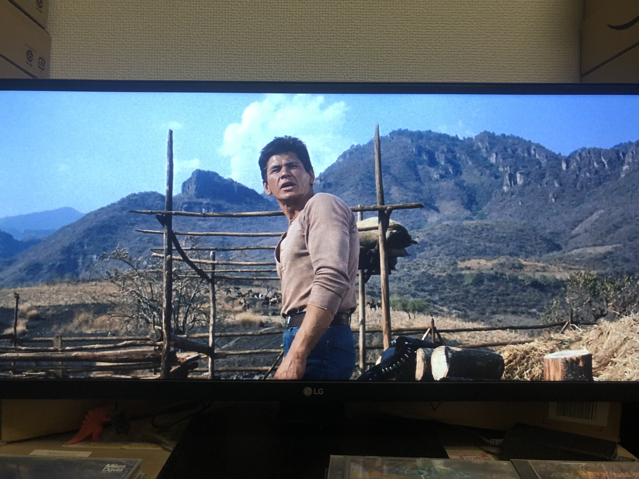 大澤遼 ユル ブリンナー主演の The Magnificent Seven 荒野の七人 ラテンアメリカのスペイン語吹き替え版 字幕なし チャールズ ブロンソンのスペイン語の声は本人の声とは違い 癖のない男前な声です 彼の俺