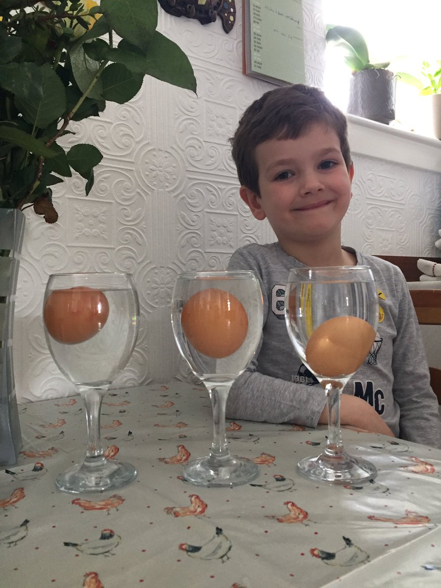 Experiment.  Chicken eggs + salt + water.