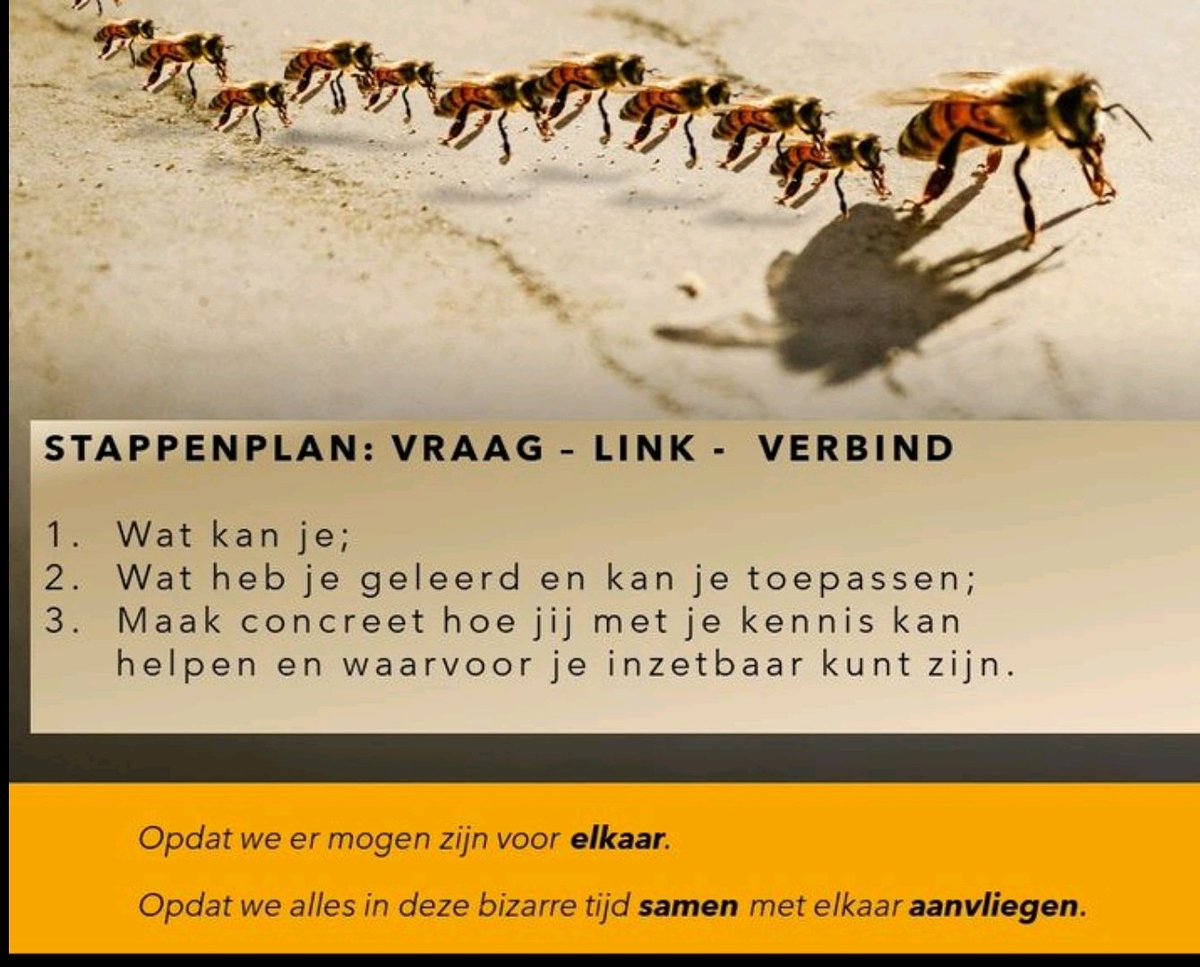 VrouwWerkGedrag's tweet image. “Gewoon opdat we er mogen zijn voor elkaar”: 

#VRAAG 
Waar je inzetbaar kunt zijn. 

#LINK
Stuur dit bericht door naar een organisatie of iemand waar jij je hulp aan wilt bieden.

#VERBIND 
Spread the 😍 love: Deel je aangegane verbintenis  
#VRAAGLINKVERBIND🐝

#zorgvoorelkaar