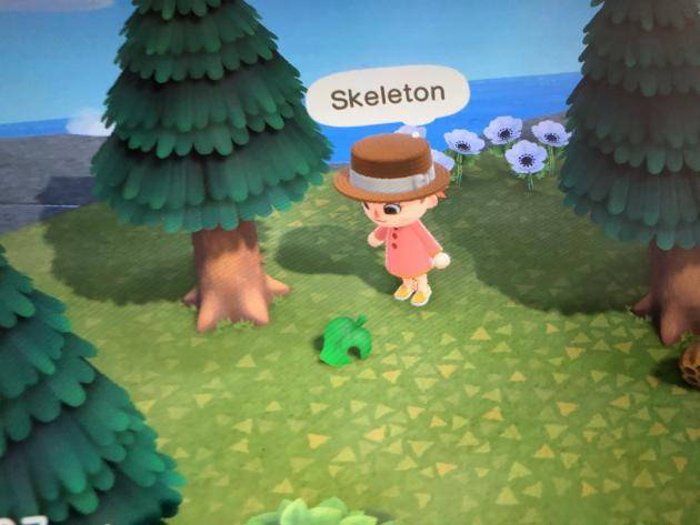 DameSabriel's tweet photo. Teammate found a skeleton in a tree on one of the island expeditions. THE MYSTERY DEEPENS! Does Nook know? Is he complicit?

I love the little nonsensical mini-stories we can create thanks to the randomizer in this game. #AnimalCrossing #ACNH https://t.co/5kAAJXRJ3B