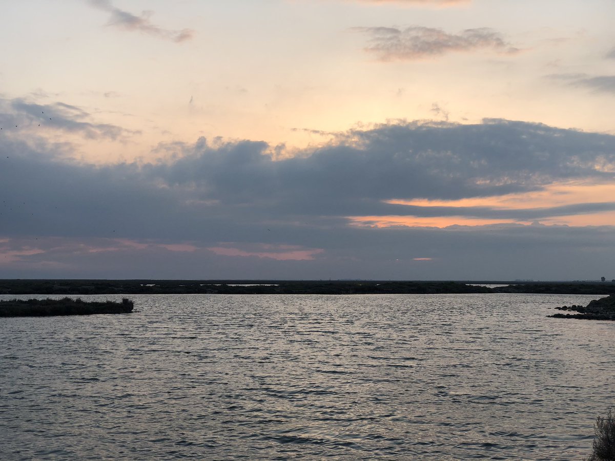 canercinarr's tweet photo. #izmir #akşamgüneşi https://t.co/HkbPi6gPrH