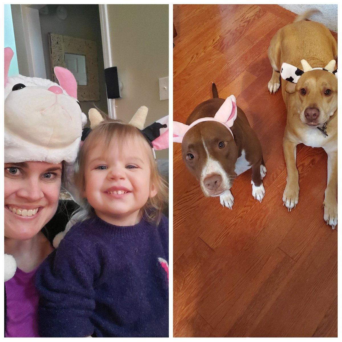 Showing my Creek View Spirit with silly hats and headbands with my virtual learning coworkers! #hatday #barnyardbunch <a href="/CreekViewElem/">Creek View Elementary School</a>