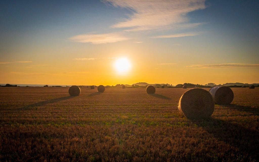 darksiderunning's tweet photo. IMPORTANT ANNOUNCEMENT REGARDING COVID-19 AND 2020 SUNSET RACES https://t.co/bQijlKJINZ #ukrunchat #sunsetultra https://t.co/p7zIWIlJbx