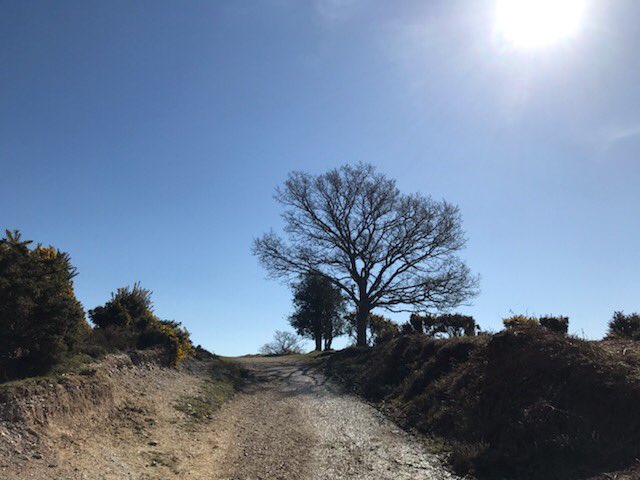 SBS EPOS tweet media