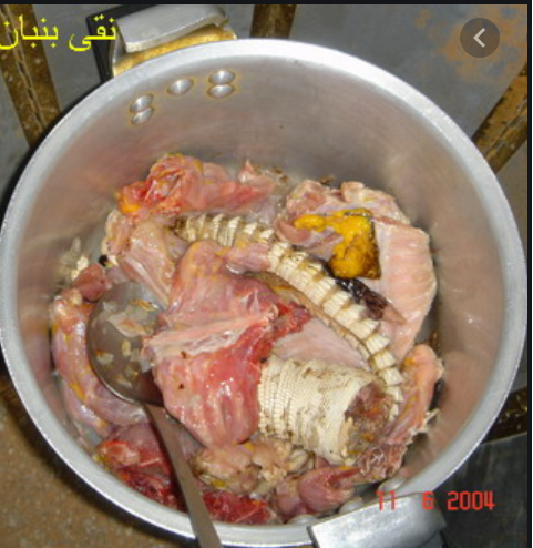 Who wants to taste the Lizard delicacy of Arabia? http://worldbirder.blogspot.com/2011/12/spiny-tailed-lizard-or-dhab-in-arabia.html