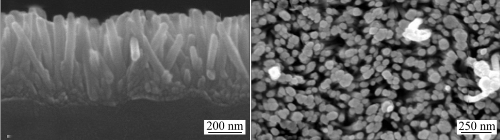 ITFSI_UWS's tweet photo. Our paper about hydrothermal chemical growth derived ZnO nanowires is now online! Congrats @ChungusChu and co-authors https://t.co/4nDojha1r2
#nanowires #zincoxide #opticalmodelling #nanotechnology @UniWestScotland @SchoolCEPS @PhysicsNews @physicsscotland https://t.co/giv5jFHBNK