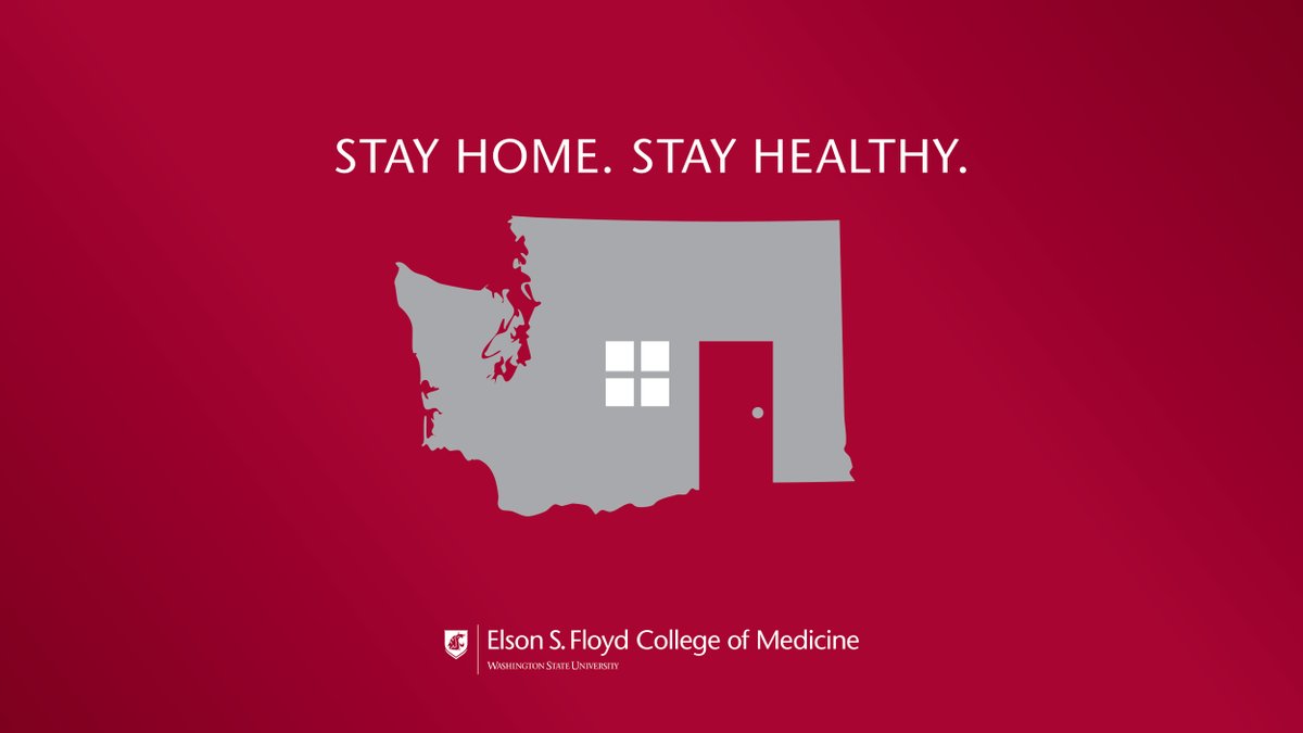 WSUMedicine's tweet photo. Stay home & stay heathy, #cougdocs! 🏠 We are looking forward to more @zoom_us meetings and some innovative #remotelearning opportunities as our med students start classes again soon! 💻
#GoCougs | @GovInslee #FlattenTheCurve https://t.co/8nIA4zTp19